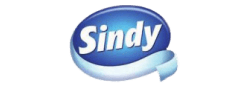 SINDY